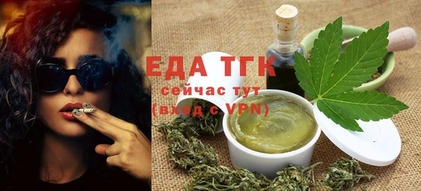 гашик Тихвин