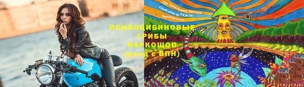 герыч Богородск