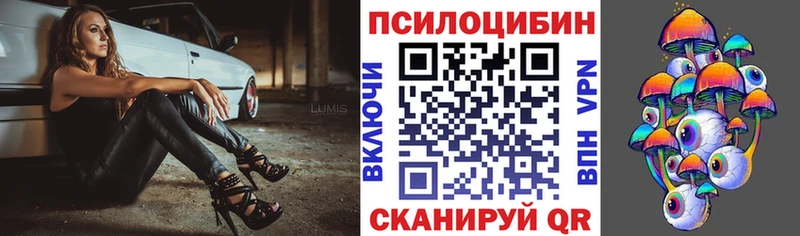 Псилоцибиновые грибы Psilocybine cubensis  маркетплейс официальный сайт  Козловка 